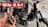 MRD Vlogs